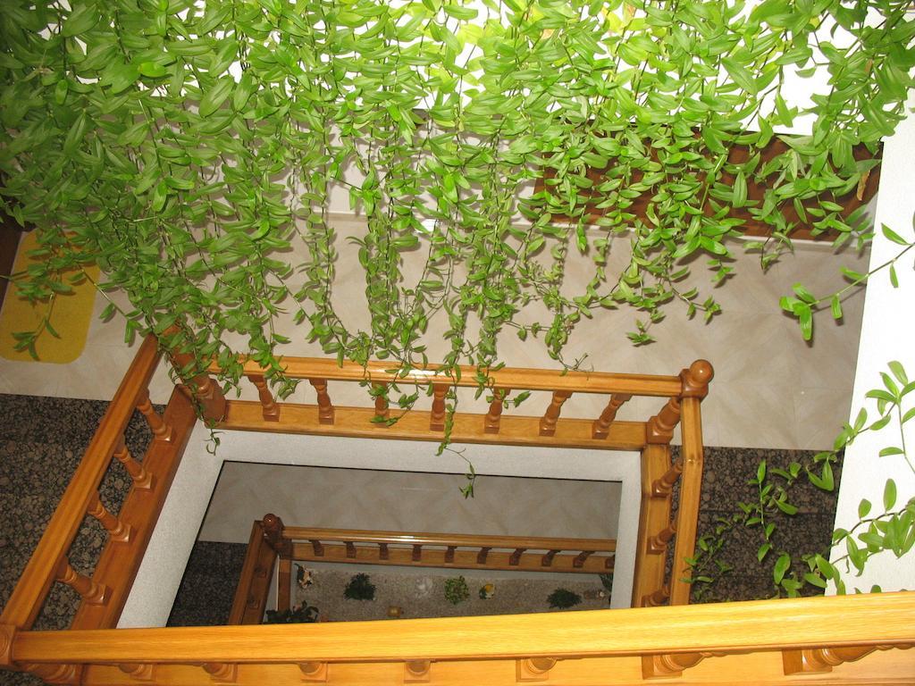 Hotel A Veiga Samos Exterior photo